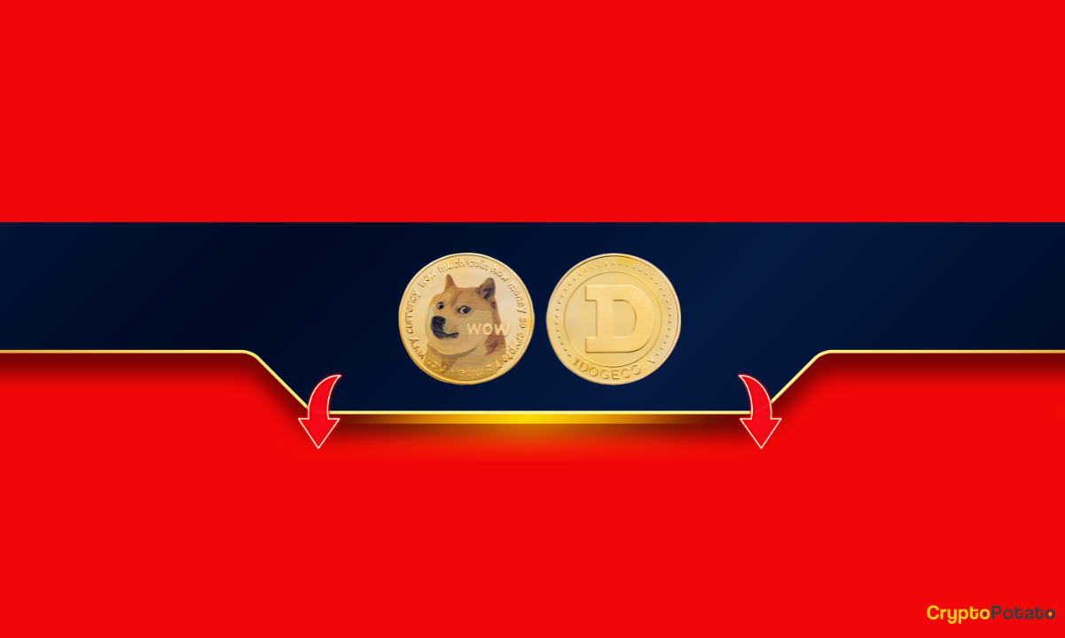 Is This the Final Chapter for Dogecoin's Bull Run? Assessing Musk's Recent Comments