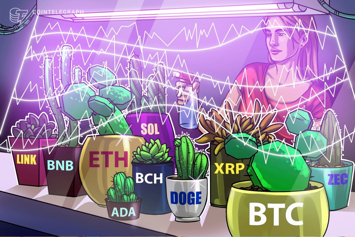 Price predictions 1/2: BTC, ETH, BNB, XRP, SOL, DOGE, ADA, BCH, LINK, ZEC